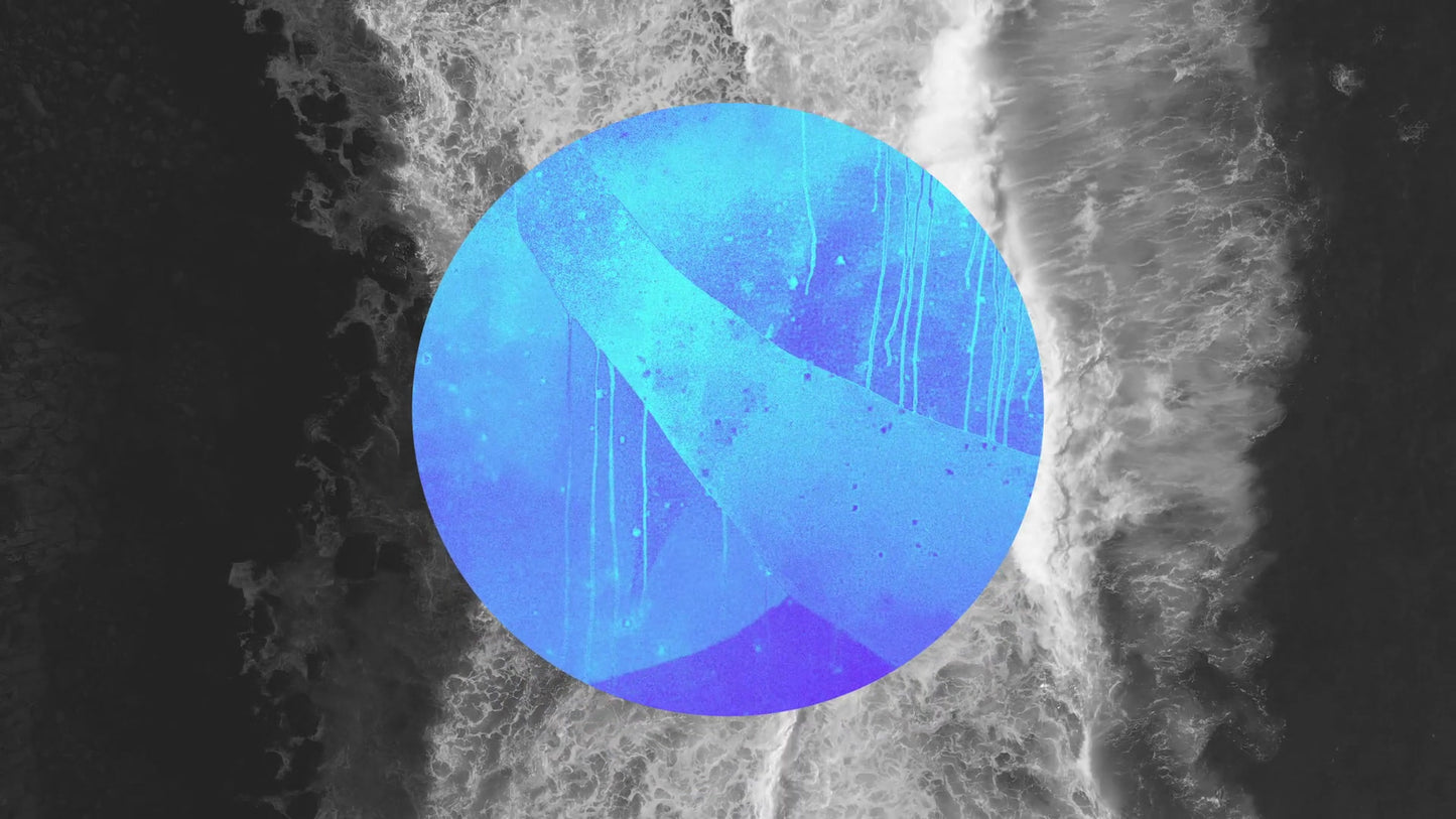 Vibrant Nature 01