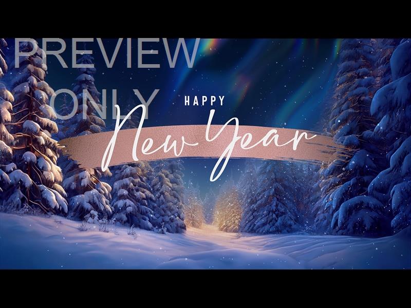 Christmas Snow New Year Still