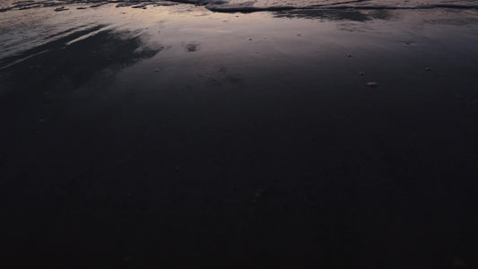 Spring Nature Still 12