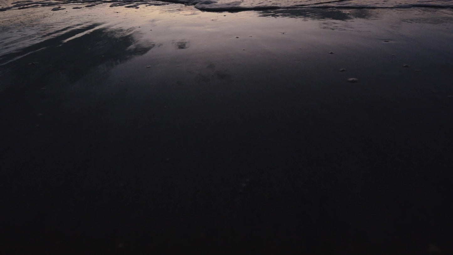 Spring Nature Motion 12