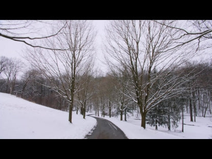 Snow Winter Background 45