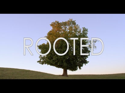 Rooted