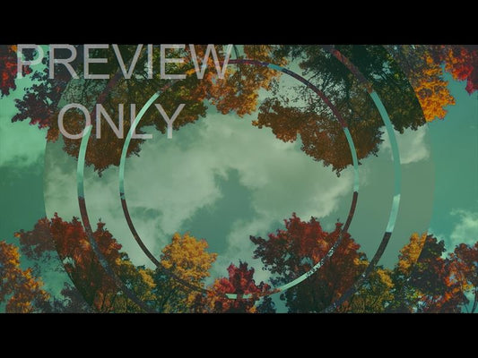 Fall Trees 2 Remix Still