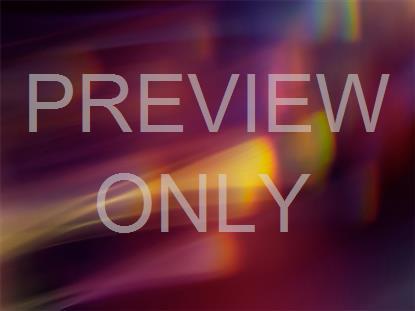 Sacred Light 15 Still