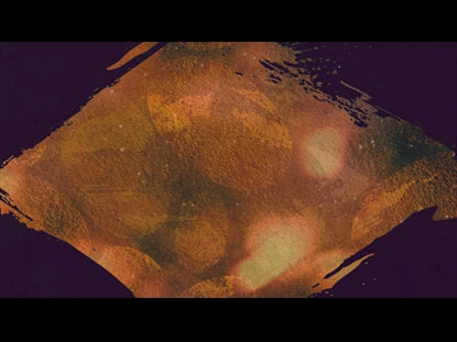 Autumn Spice 9 Motion