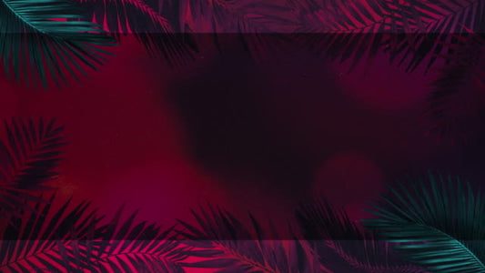 Vibrant Palms 4 Alt