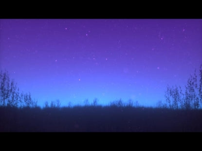 Summer Fireflies Blue Purple Field