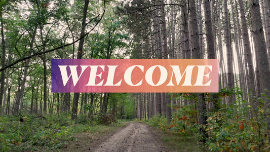 The Forest Welcome