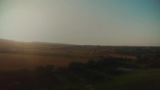Open Fields Sweep Still