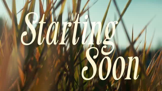 The Grass Starting Soon