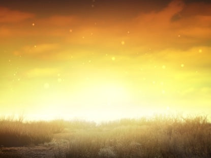 Desert Sunset Red