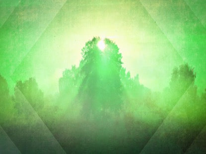 Spring Morning Green Motion