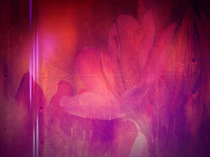 Purple And Pink Impression