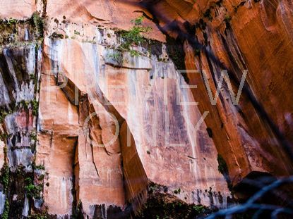 Canyon Lines