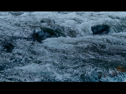 River Wild 1