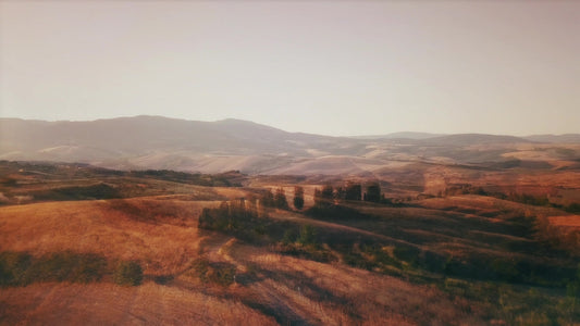 The Hills Fields Alt Still