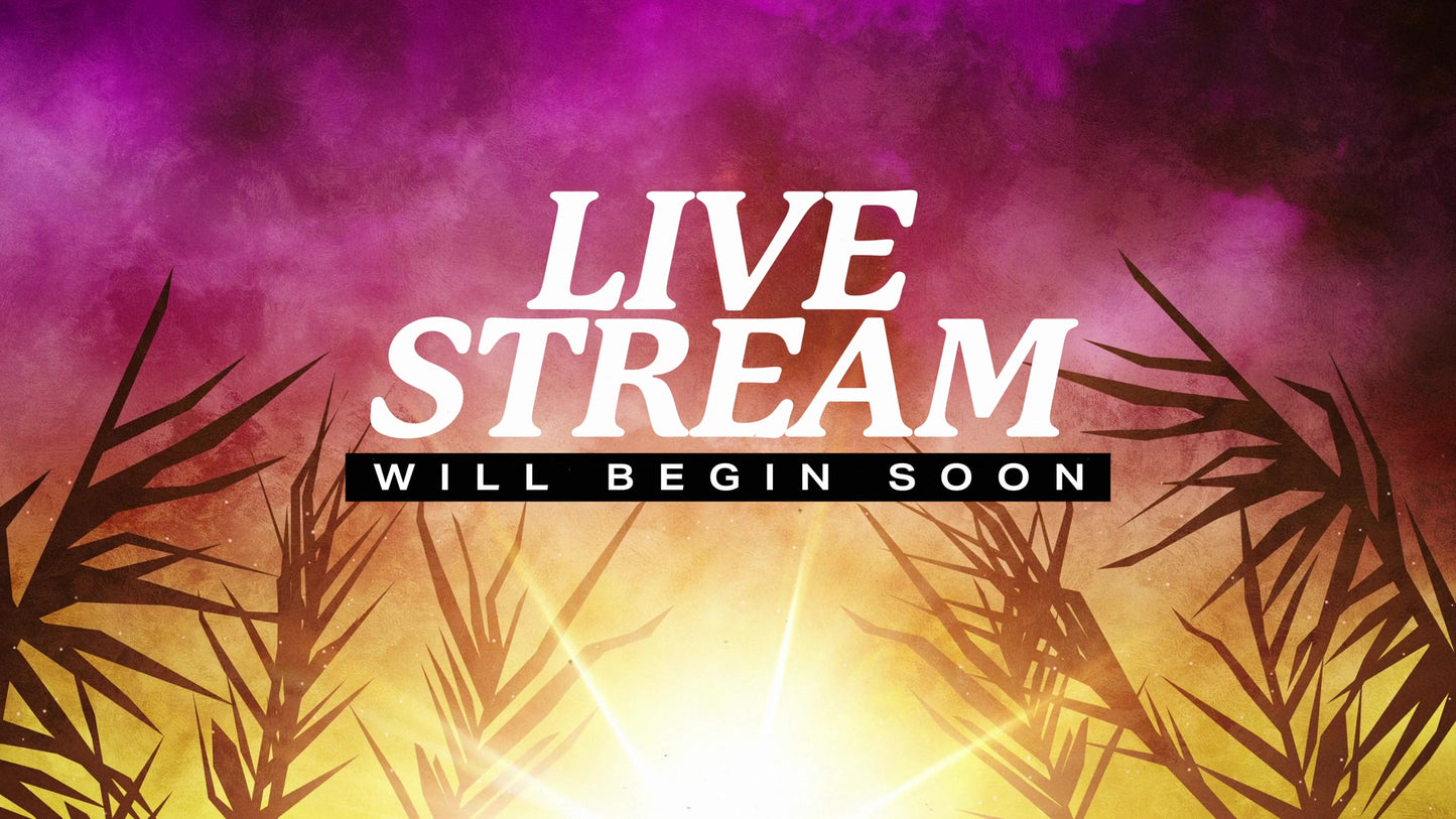 Bright Palm Sunday Live Stream
