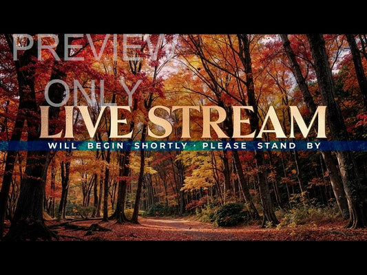 Forest Fall Live Stream Still