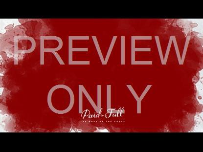 Paid In Full Teaching Still 02