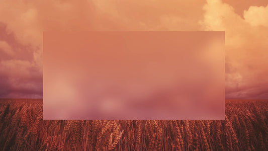 Golden Hour Ripe Alt Still