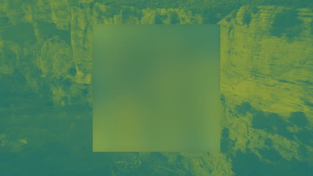 N Z Mashup 8 Alt