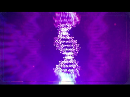Dna Teaching Motion 3