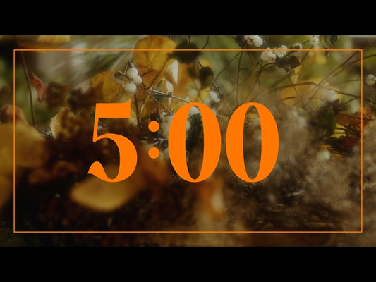 Flora Fall Countdown 01