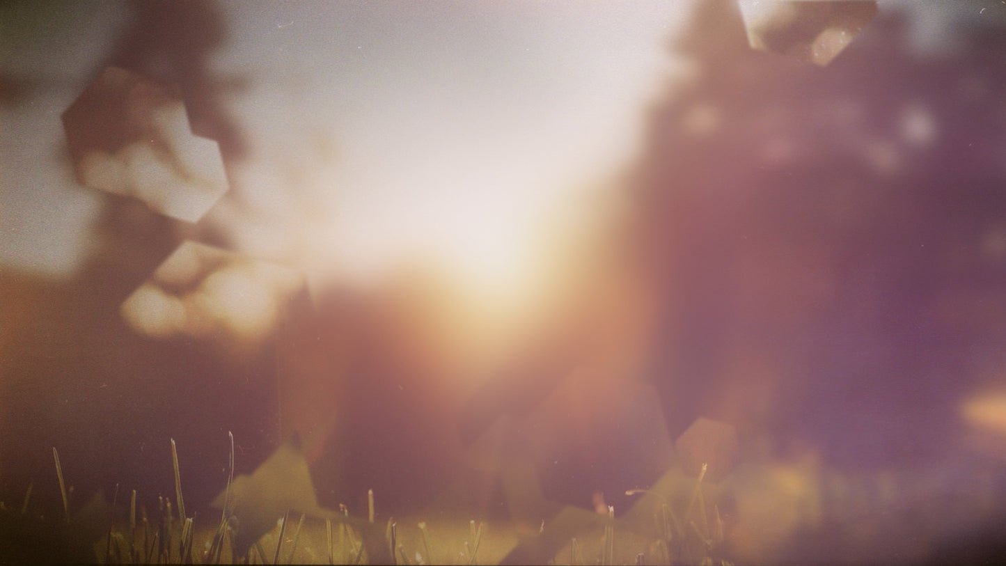 Spring Journey 08 Still