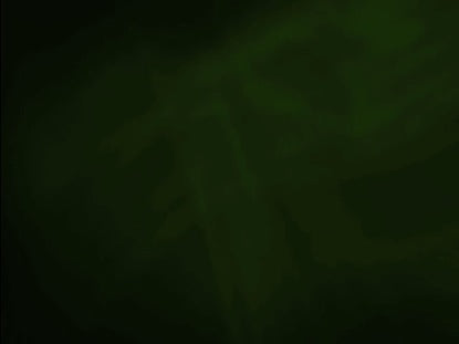 Soft Swirls 1 Forrest