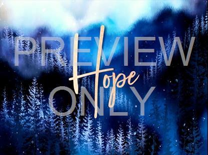 Christmas Woods Hope Still