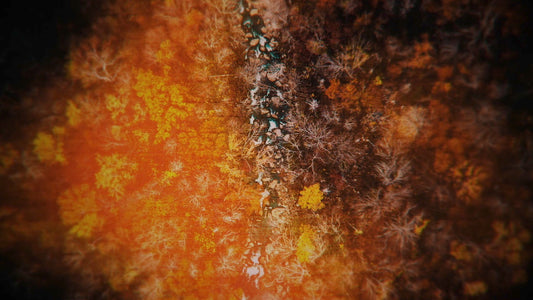 Aerial Journey 7 Still