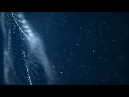 Hope 08