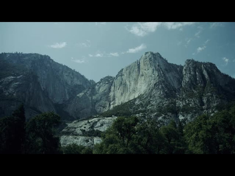Yosemite Meadows Motion - 04
