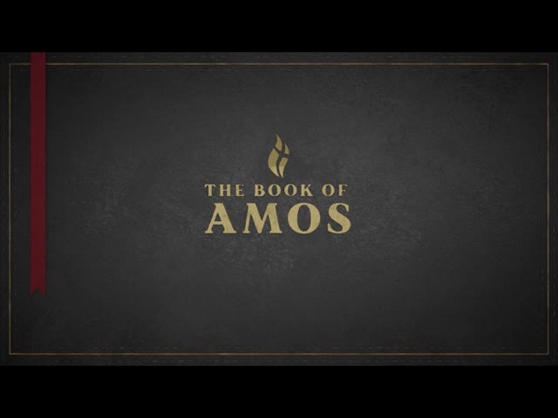 Amos - Black