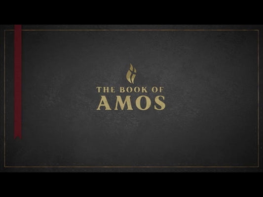 Amos - Black
