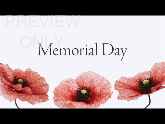 Patriotic Poppies: Memorial Day Title 2 Still