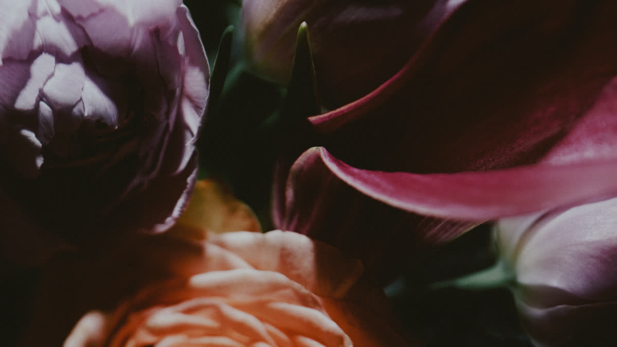 Beauty And Strength Still 07