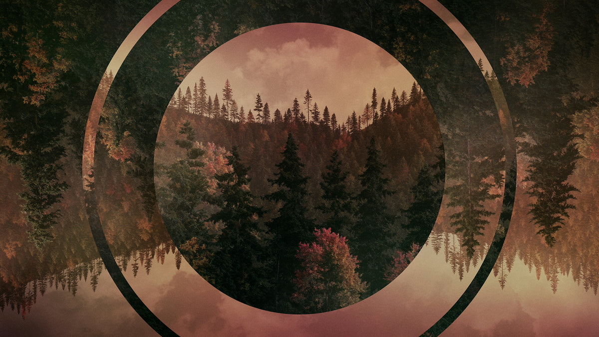Ridgeline Fall 12 Remix