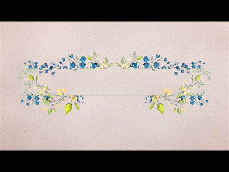 Petite Flower: Loop 01