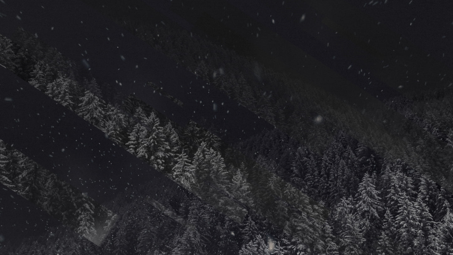 Winter Journey 18 Still