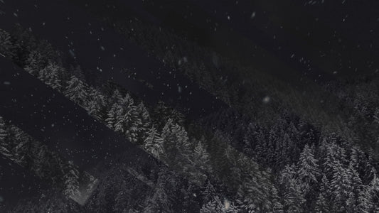 Winter Journey 18 Still