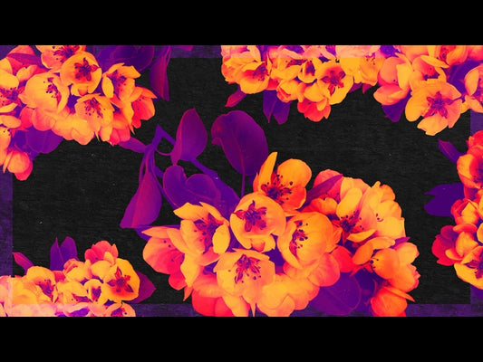 Bold Blooms Loop 01