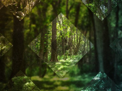 Forest Diamonds