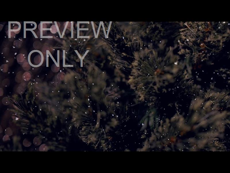 Christmas Tree 5 Still