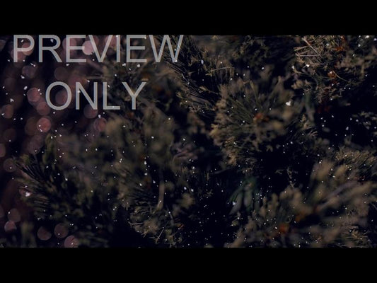 Christmas Tree 5 Still