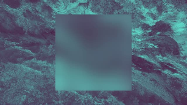 N Z Mashup 6 Alt