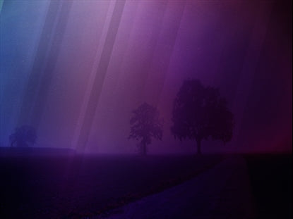 Autumn Mist 1 Motion