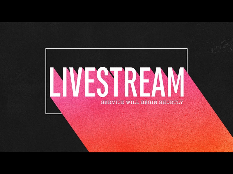 Color Pop Livestream