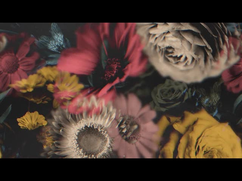 Deep Beauty Loop 07