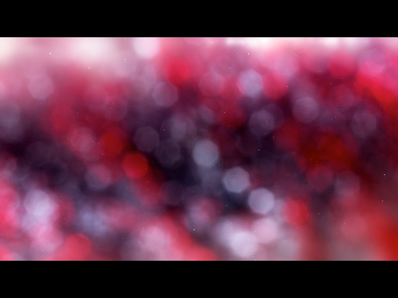 Christmas Light: 12